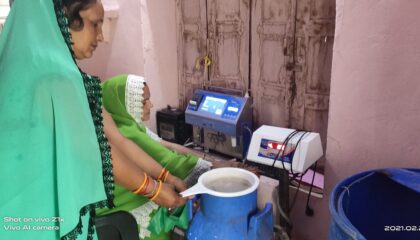 Sadhana – a successful dairy entrepreneur