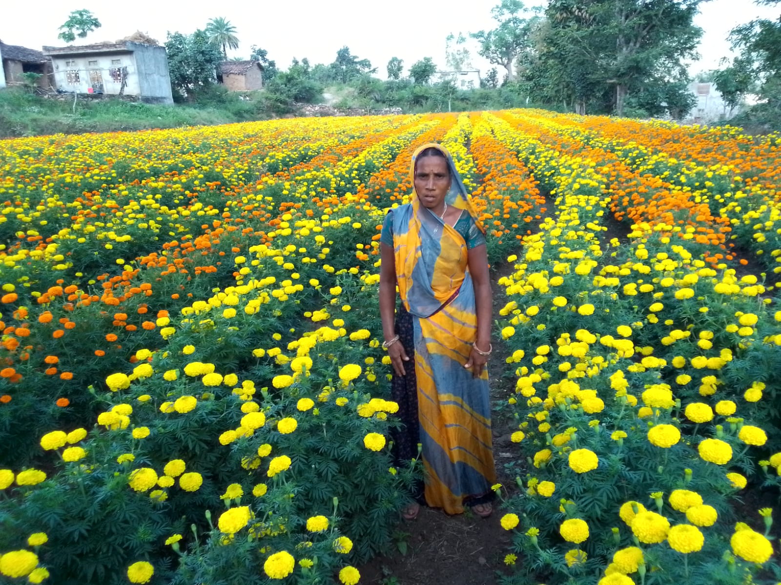 From Seeds to Success: Story of Kamla Bai